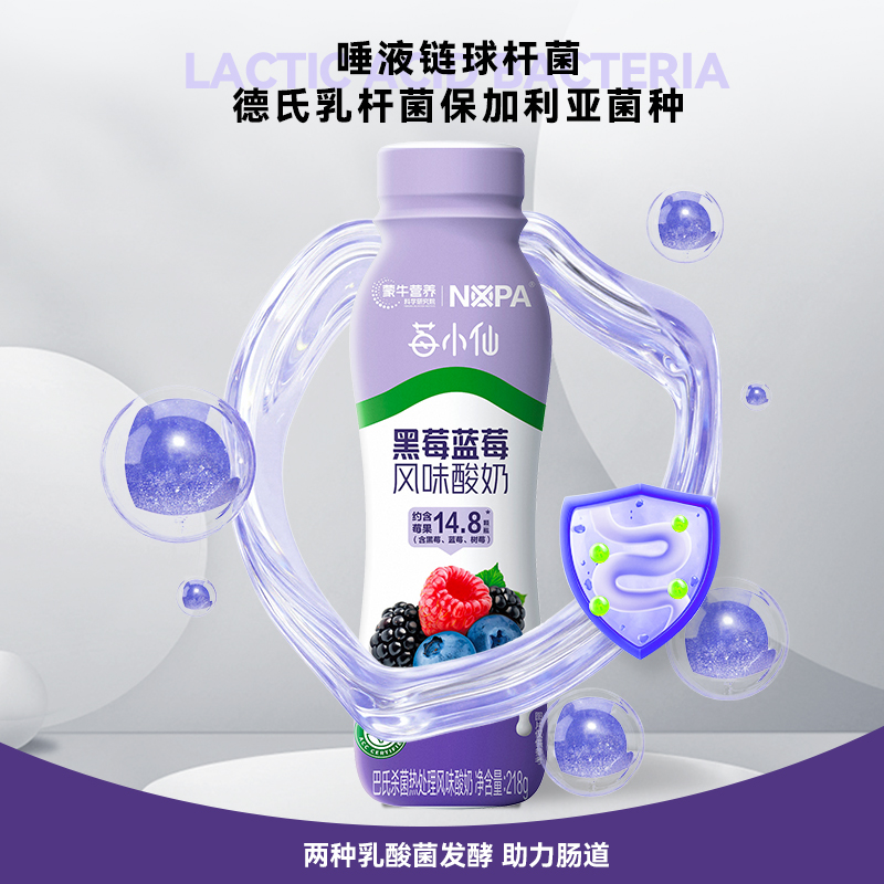 NOPA黑莓蓝莓风味酸奶主图2