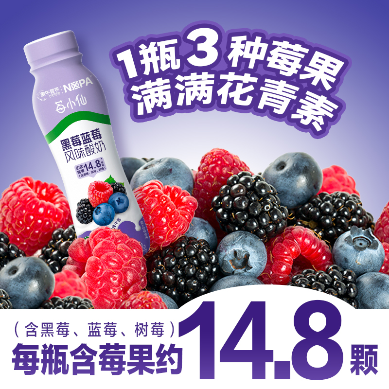 NOPA黑莓蓝莓风味酸奶主图3